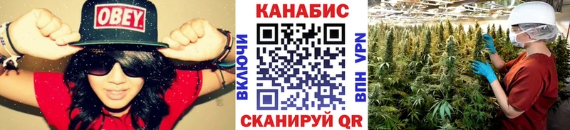 Бошки марихуана планчик  Приволжский 